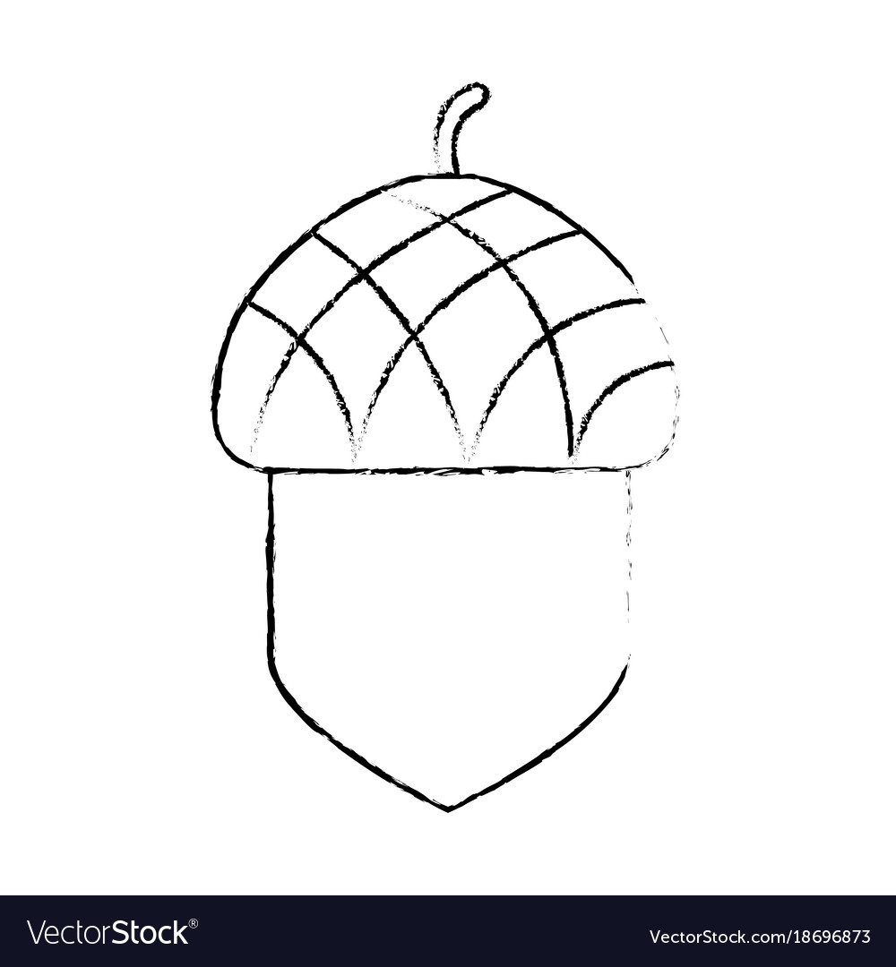 Isolated acorn design