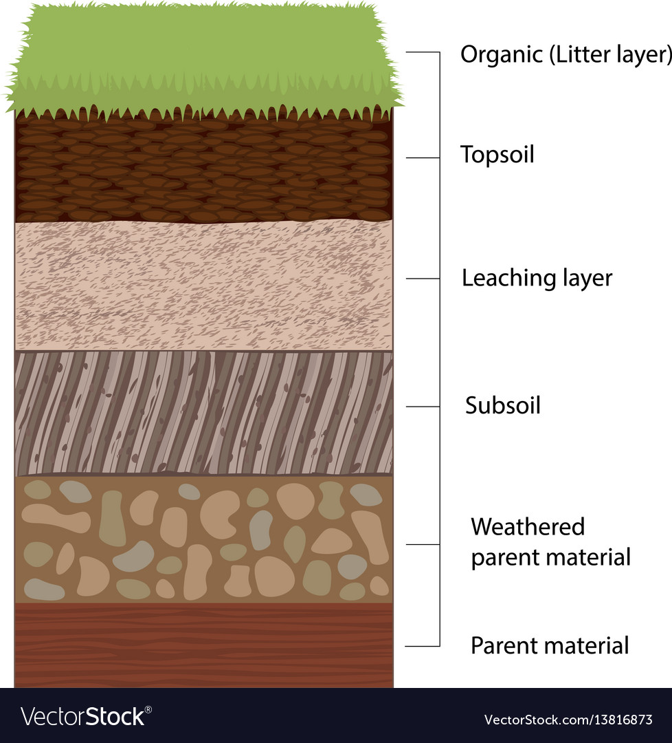 soil profile horizons