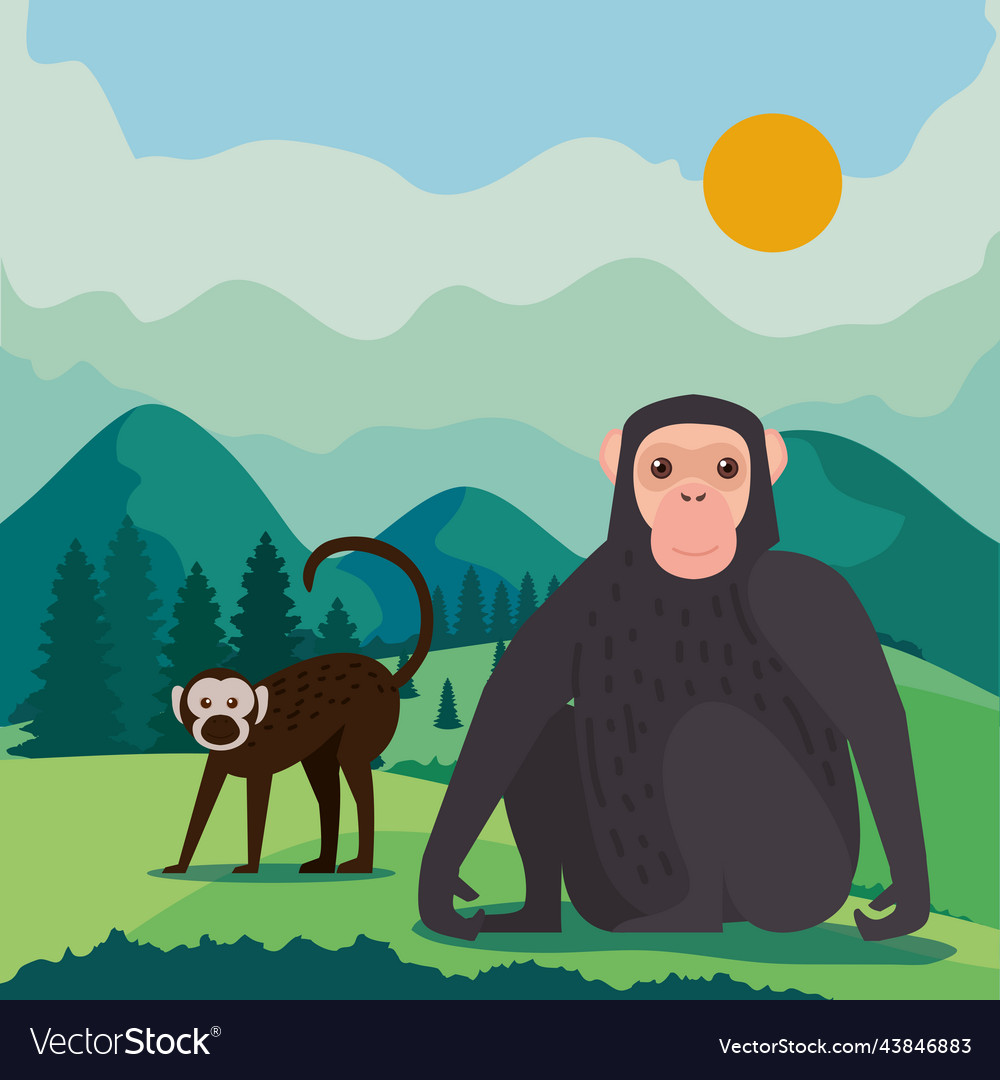 Bonobo and macaque monkeys