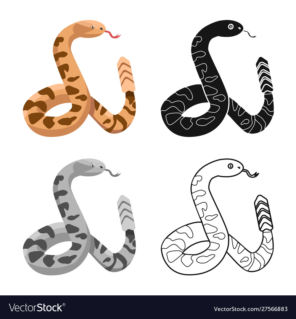 Design serpent and python logo web