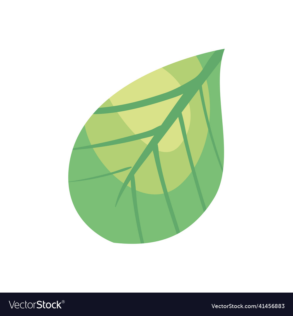 Green leaf Royalty Free Vector Image - VectorStock