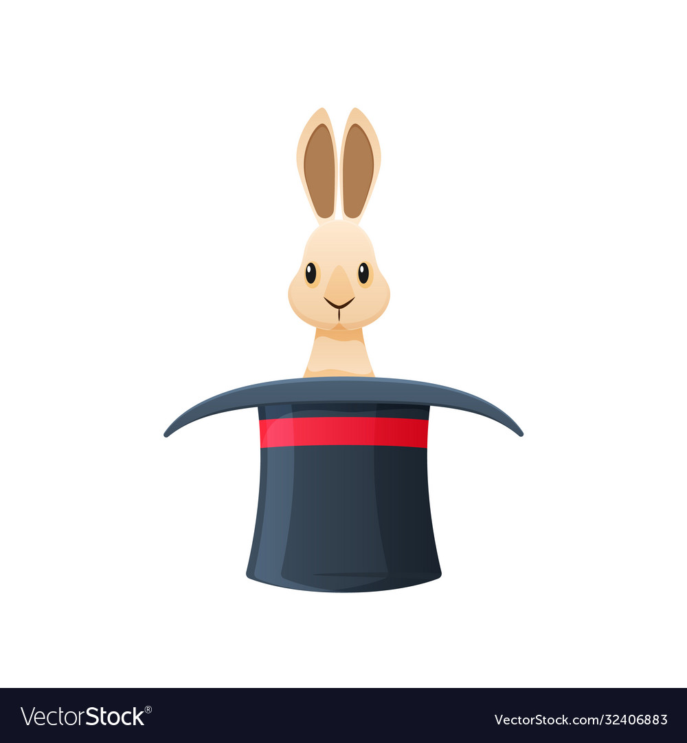 Magic hat with rabbit inside accessories Vector Image