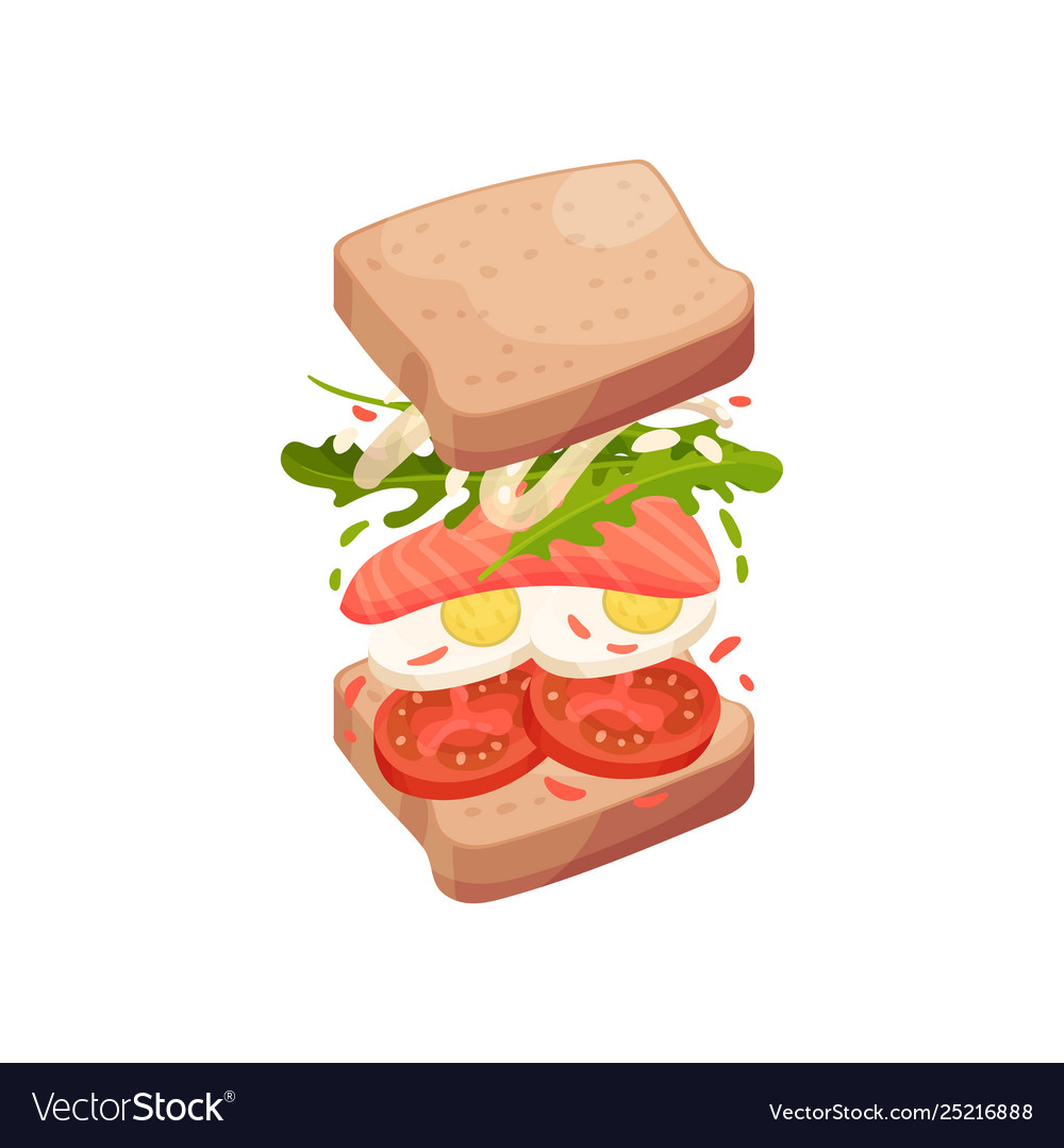Sandwich on square pieces bread with an egg Vector Image