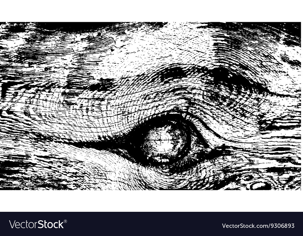 Weathered Tree Cross Section