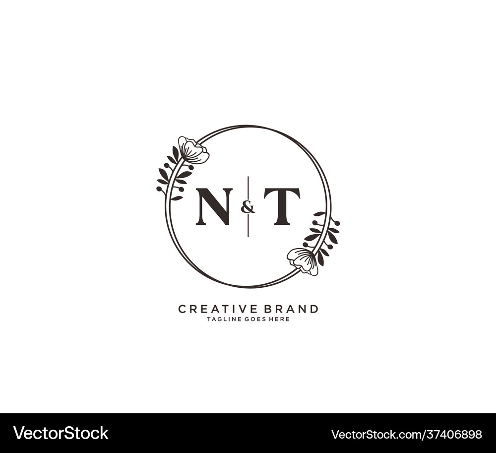 Initial nt letters hand drawn feminine and floral Vector Image