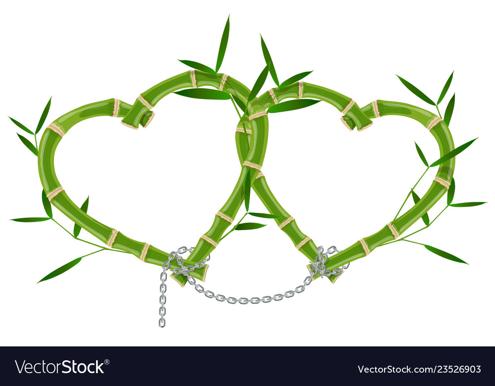 Double bamboo frame linked by a chain