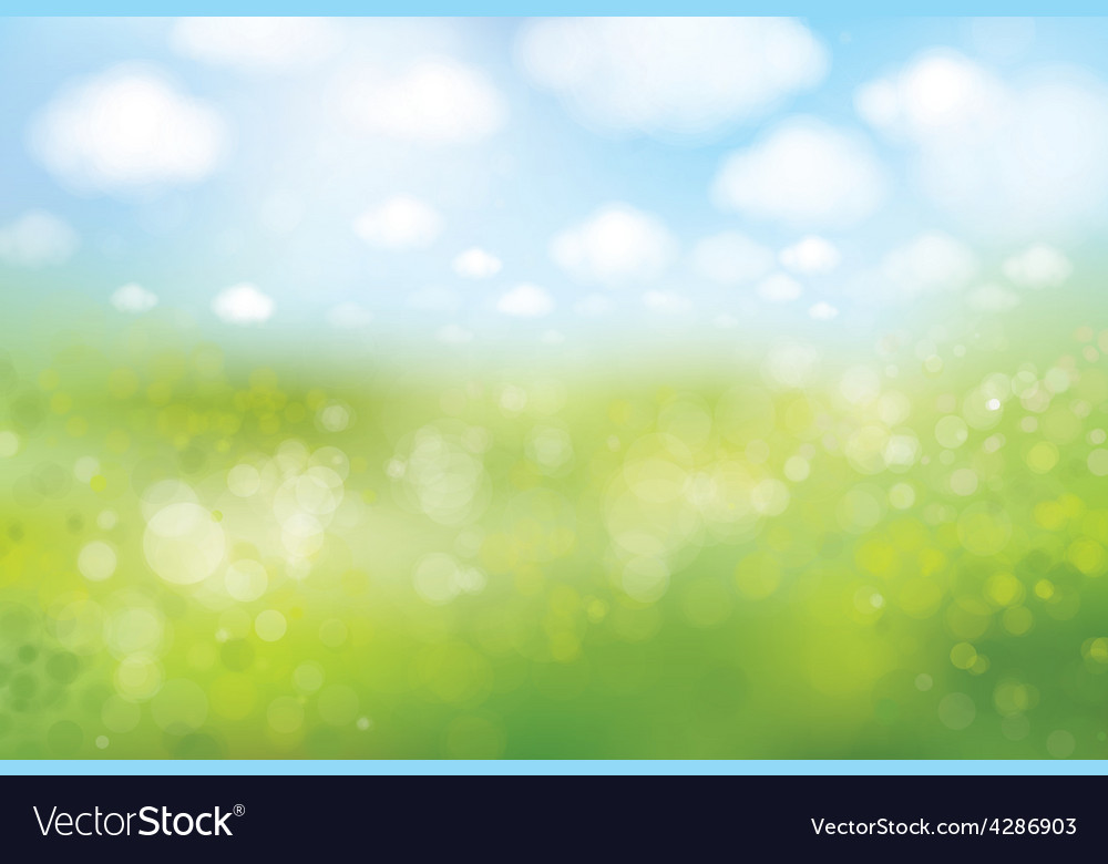 Spring Bokeh Field Landscape