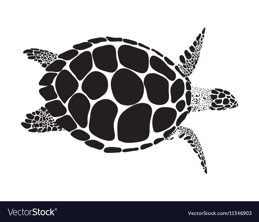 Turtle symbol Royalty Free Vector Image - VectorStock