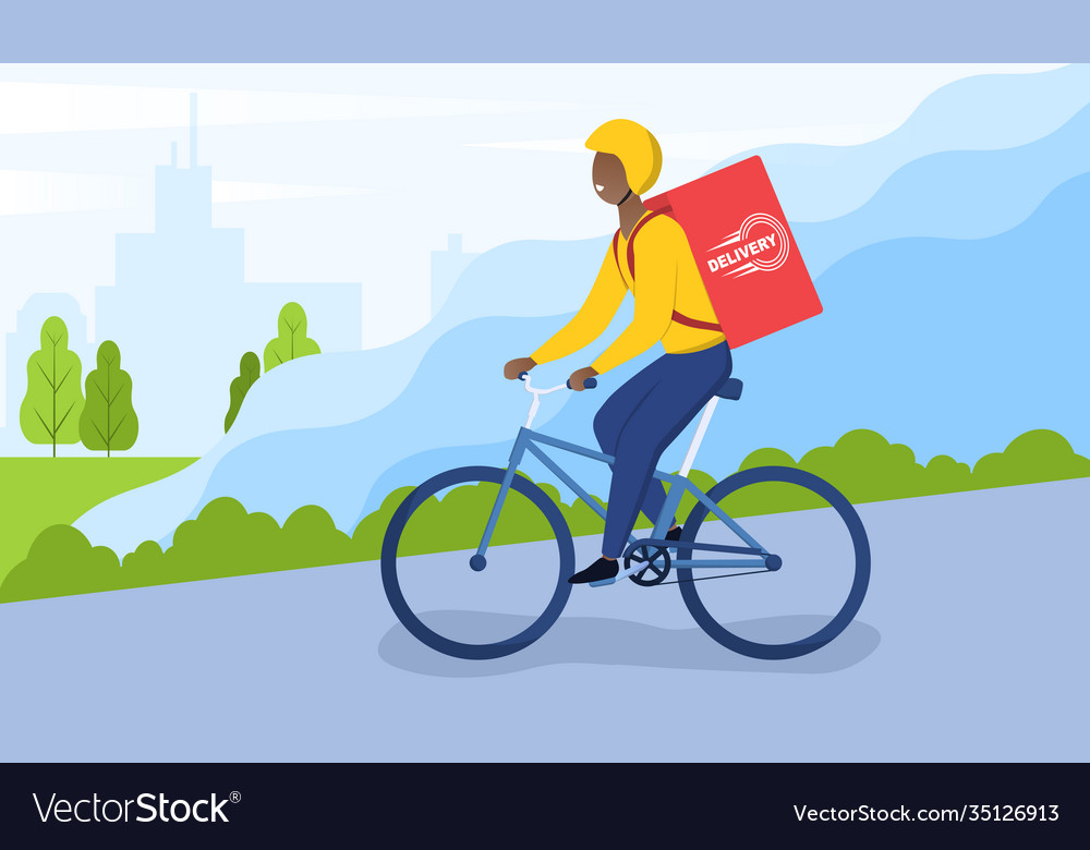 Bike cheap food delivery