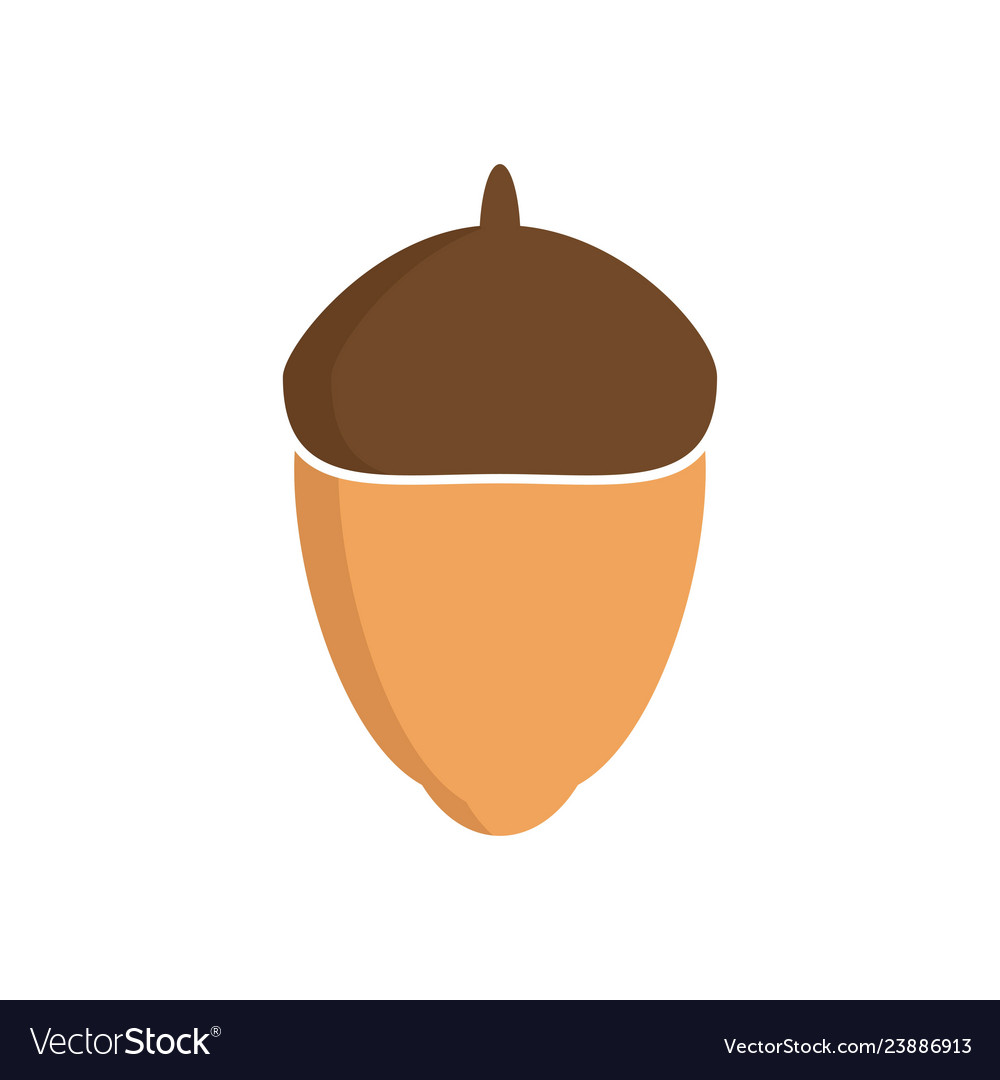 Glossy acorn on white background Royalty Free Vector Image