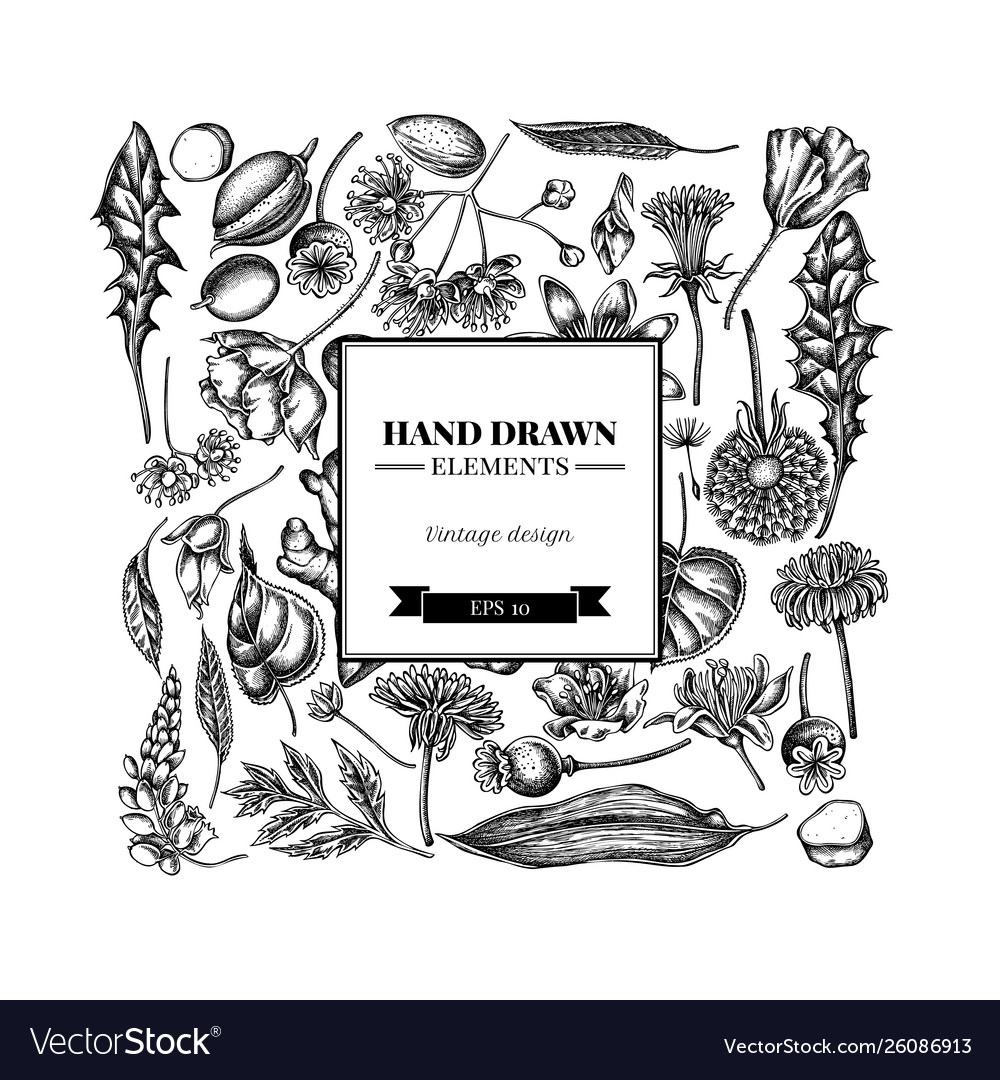 Square floral design with black and white almond vector image Square floral design with black and white almond