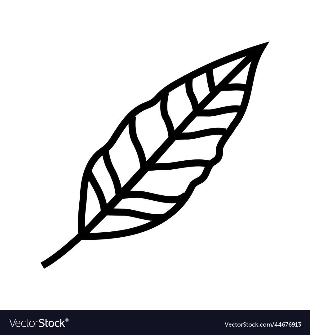 Stelizia tropical leaf line icon Royalty Free Vector Image