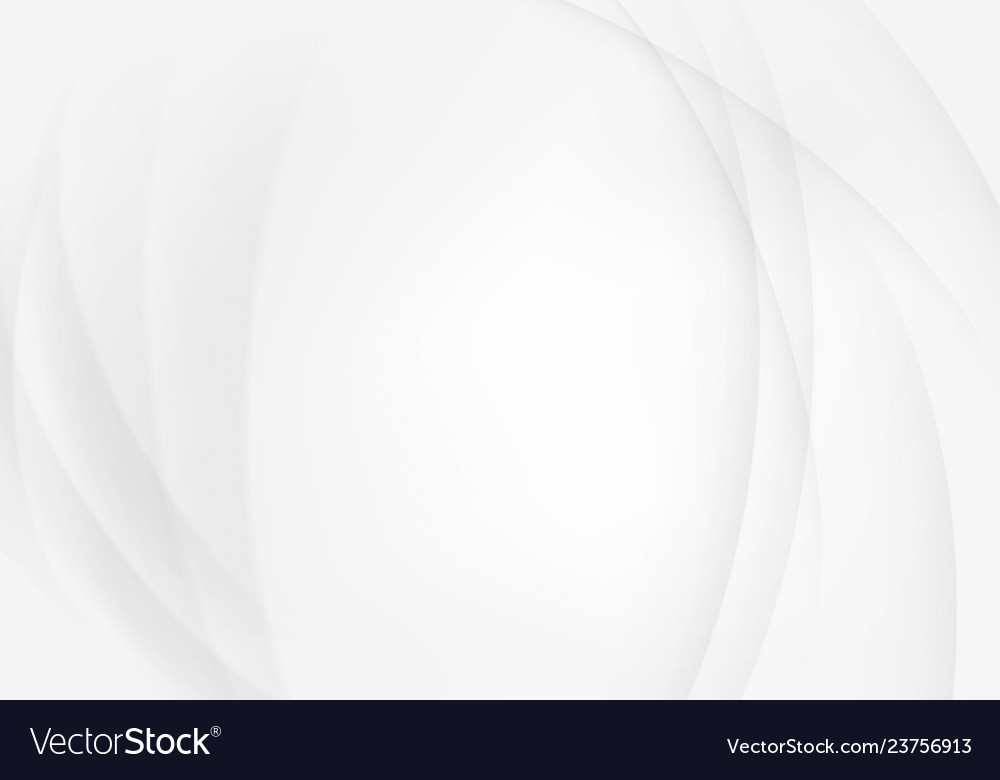 White texture gray abstract pattern wave wavy vector image White texture gray abstract pattern wave wavy