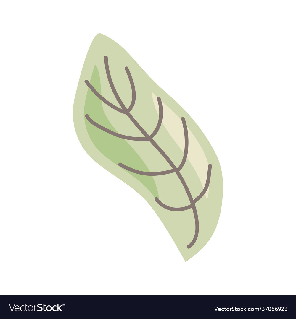 Green leaf plant Royalty Free Vector Image - VectorStock