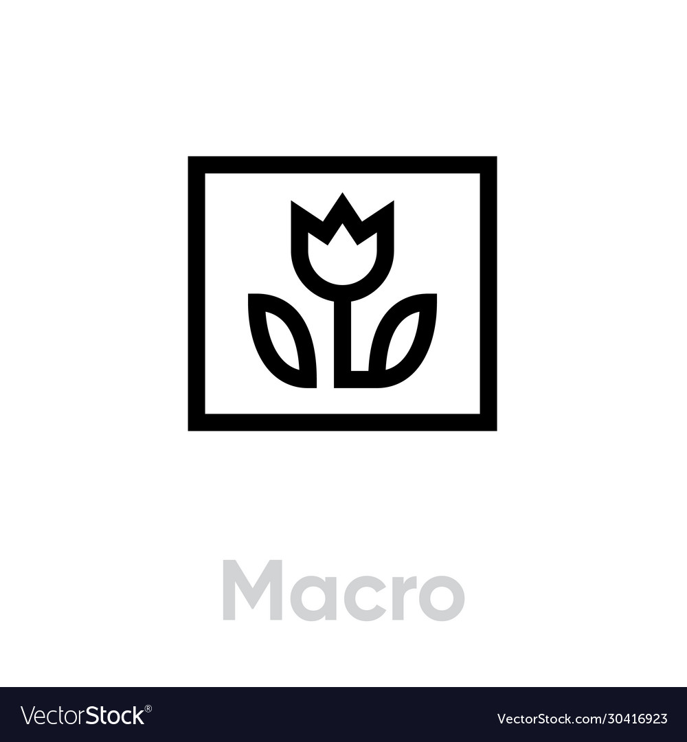 Macro picture icon editable line