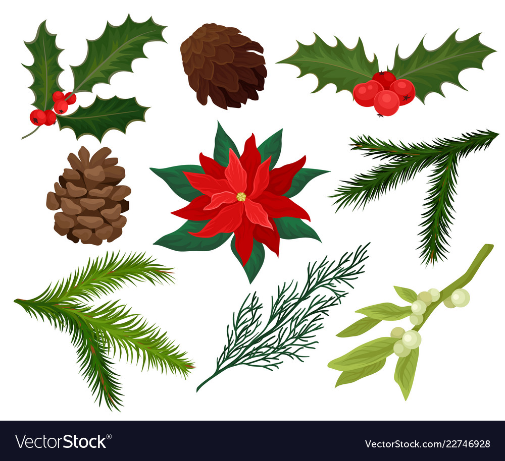 Christmas Plant Set - Festive Foliage