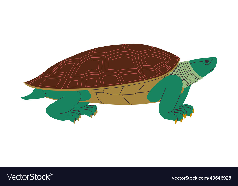 Green turtle with brown shell wild nature Vector Image