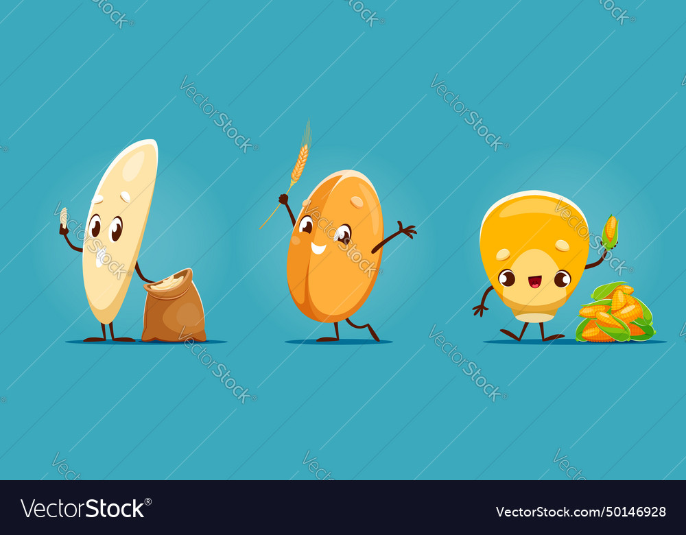 Wheat rice and corn grain cartoon characters Vector Image