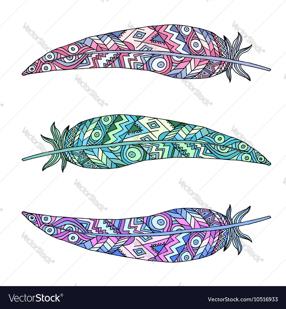 Three patterned feathers on white background