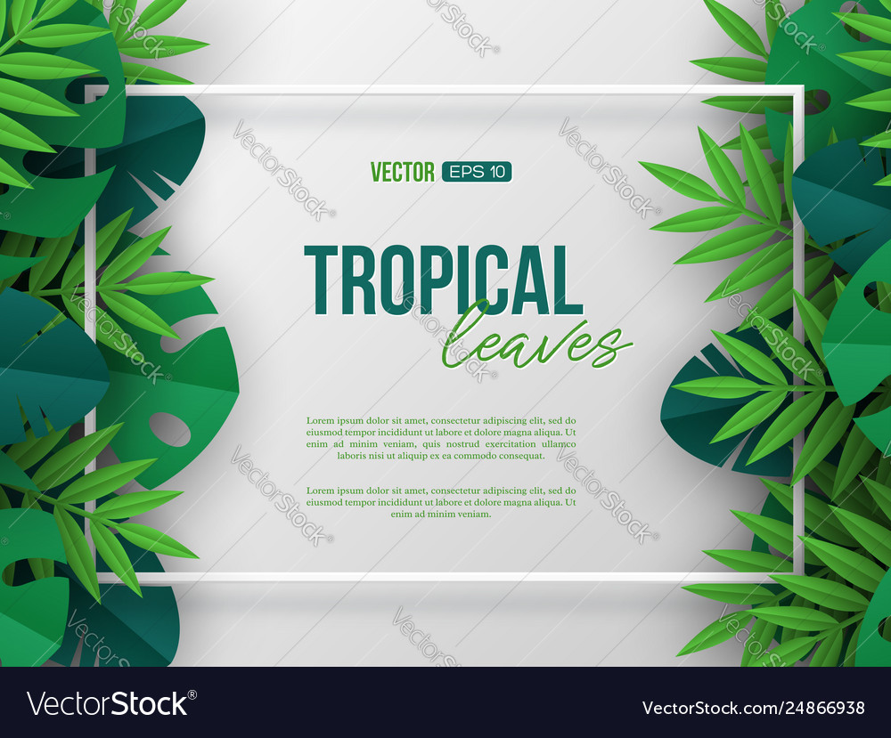 Banner with exotic jungle tropical palm leaves