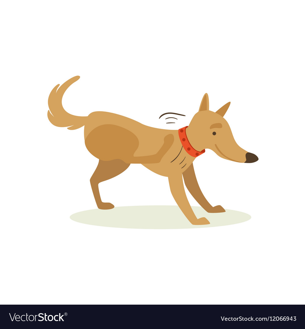 Brown Pet Dog Scratching From Fleas Animal Vector Image