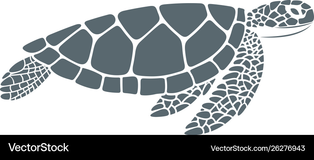Turtle Royalty Free Vector Image - VectorStock