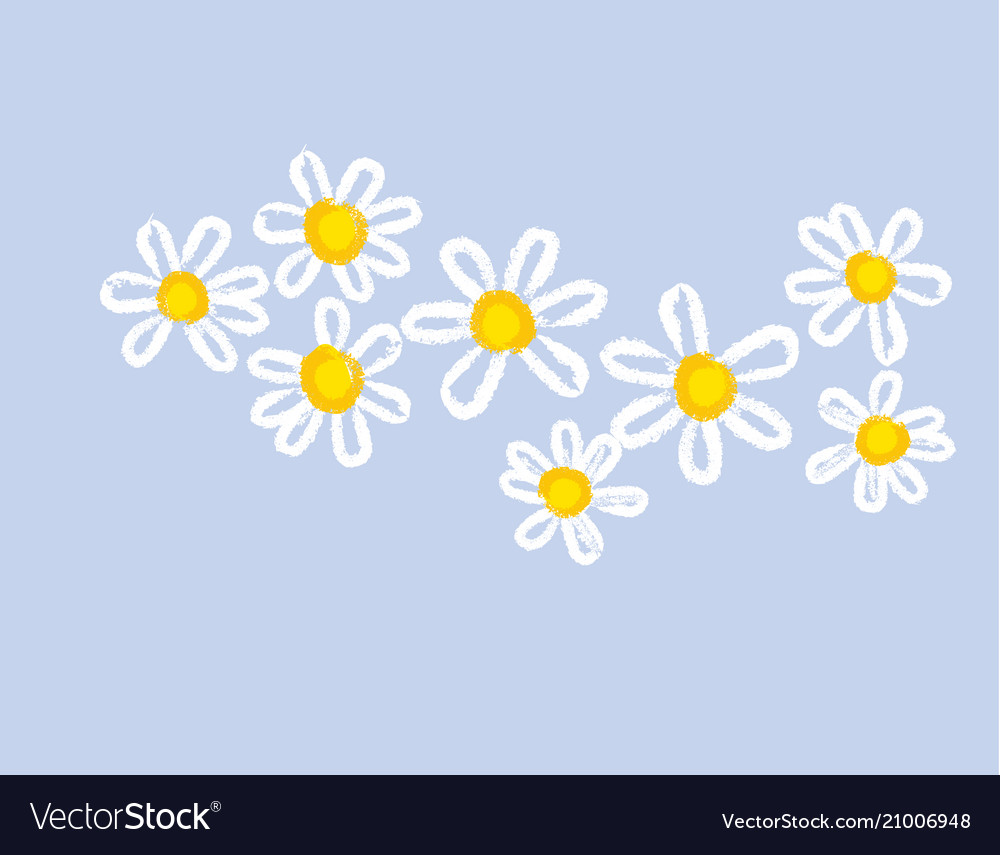 Classic hand drawn chamomile design element