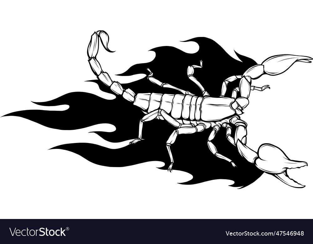 Of scorpion outline graphic Royalty Free Vector Image