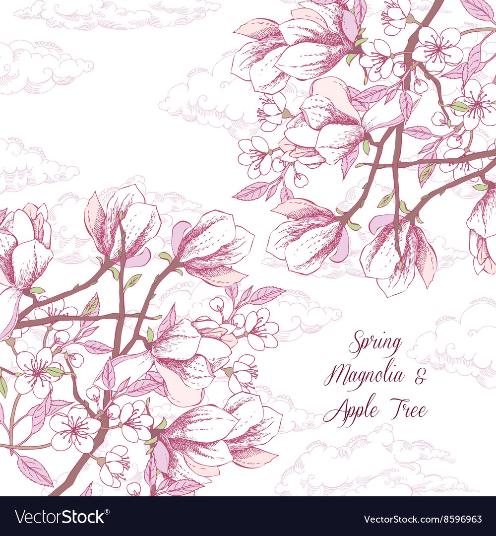 Background with magnolia and apple tree