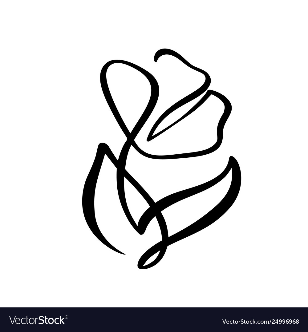 Continuous line hand drawing calligraphic Vector Image Continuous line hand drawing calligraphic
