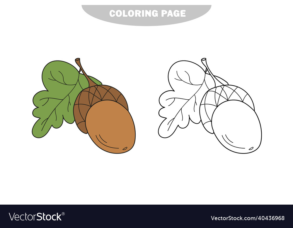Simple coloring page acorn - game vector image Simple coloring page acorn - game