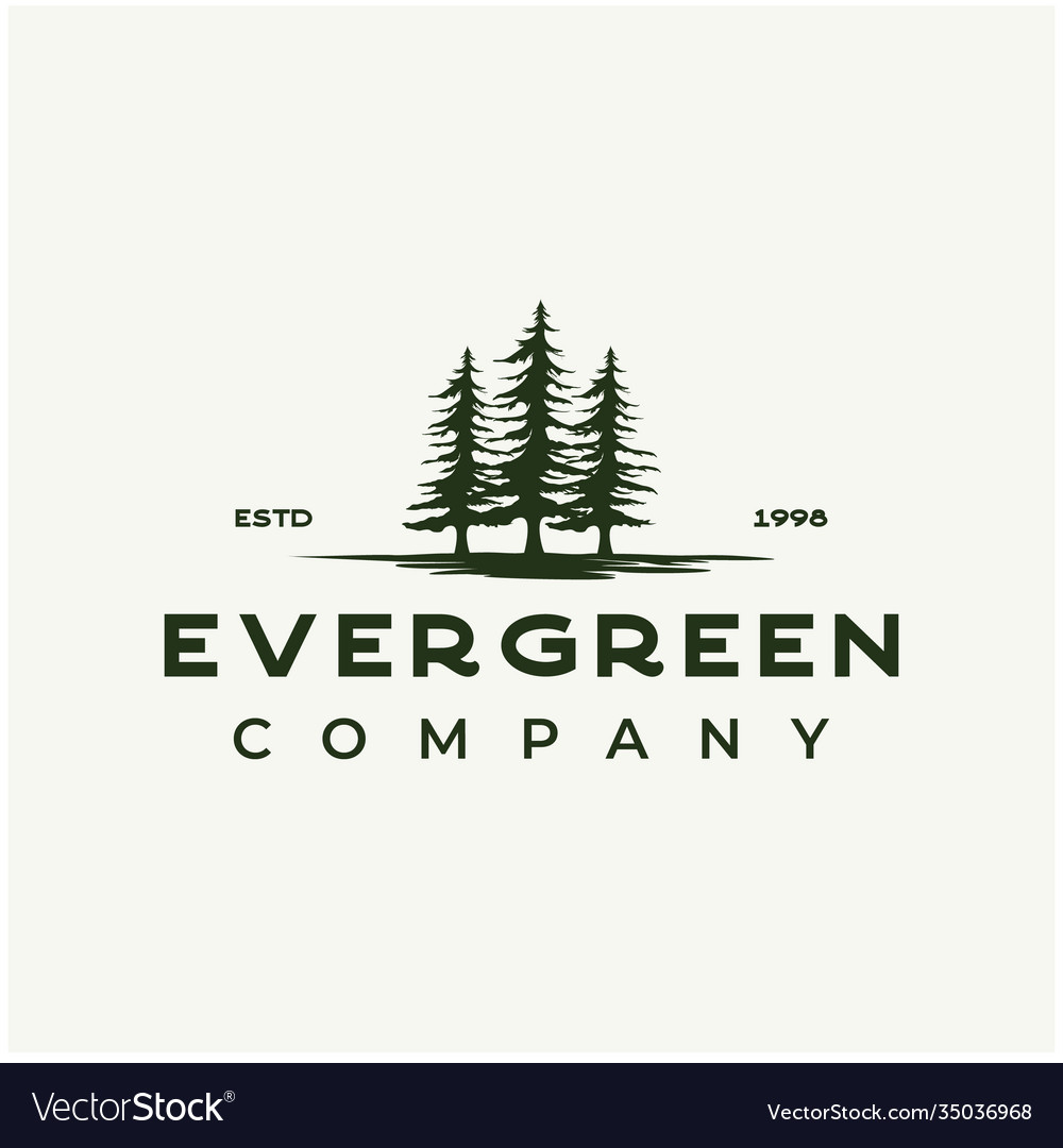 Vintage rustic retro evergreen pines spruce cedar Vector Image