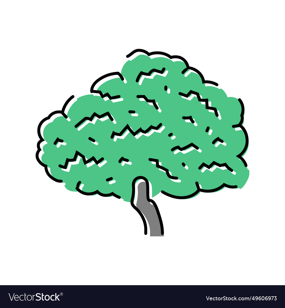 Fig tree jungle amazon color icon vector image Fig tree jungle amazon color icon