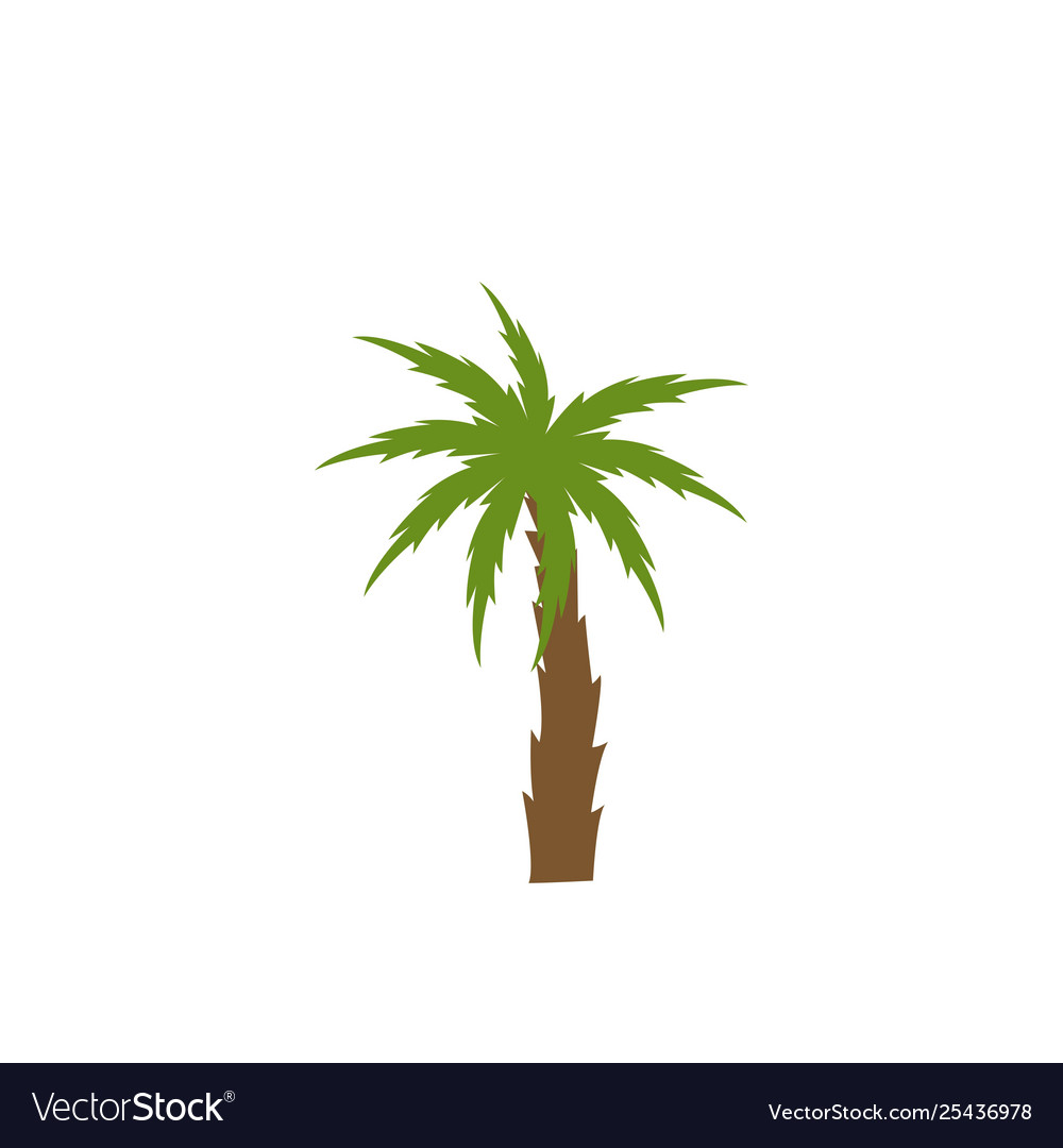 Tree palm isolated icon vector image Tree palm isolated icon