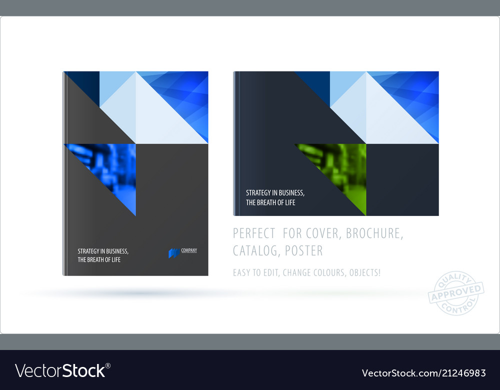 Brochure design triangular template colourful vector image Brochure design triangular template colourful