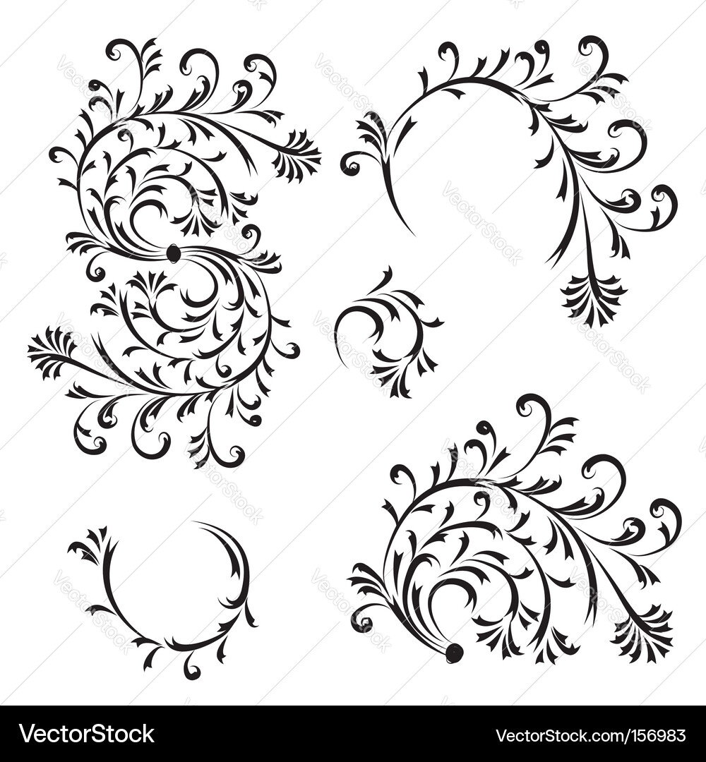 Floral design elements Royalty Free Vector Image
