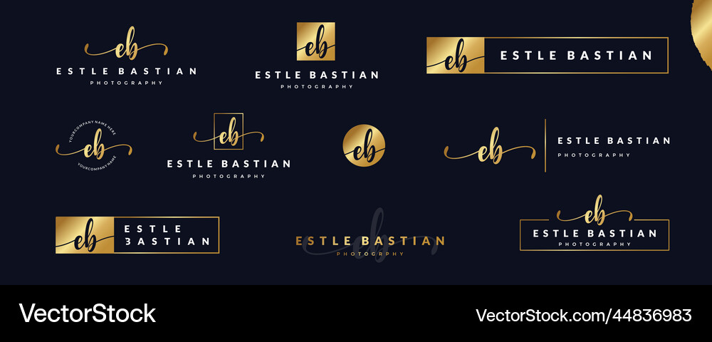 Luxury initial letter eb e monogram logo for Vector Image