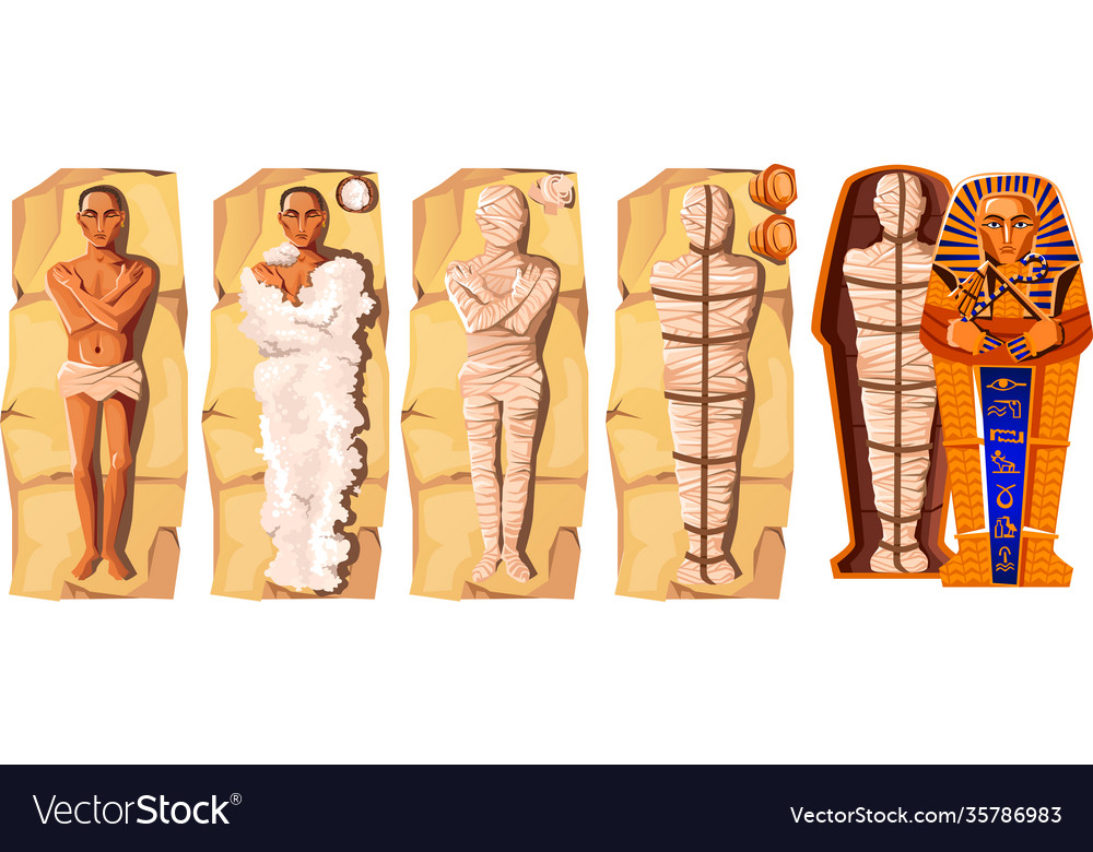 Mummy creation cartoon Royalty Free Vector Image