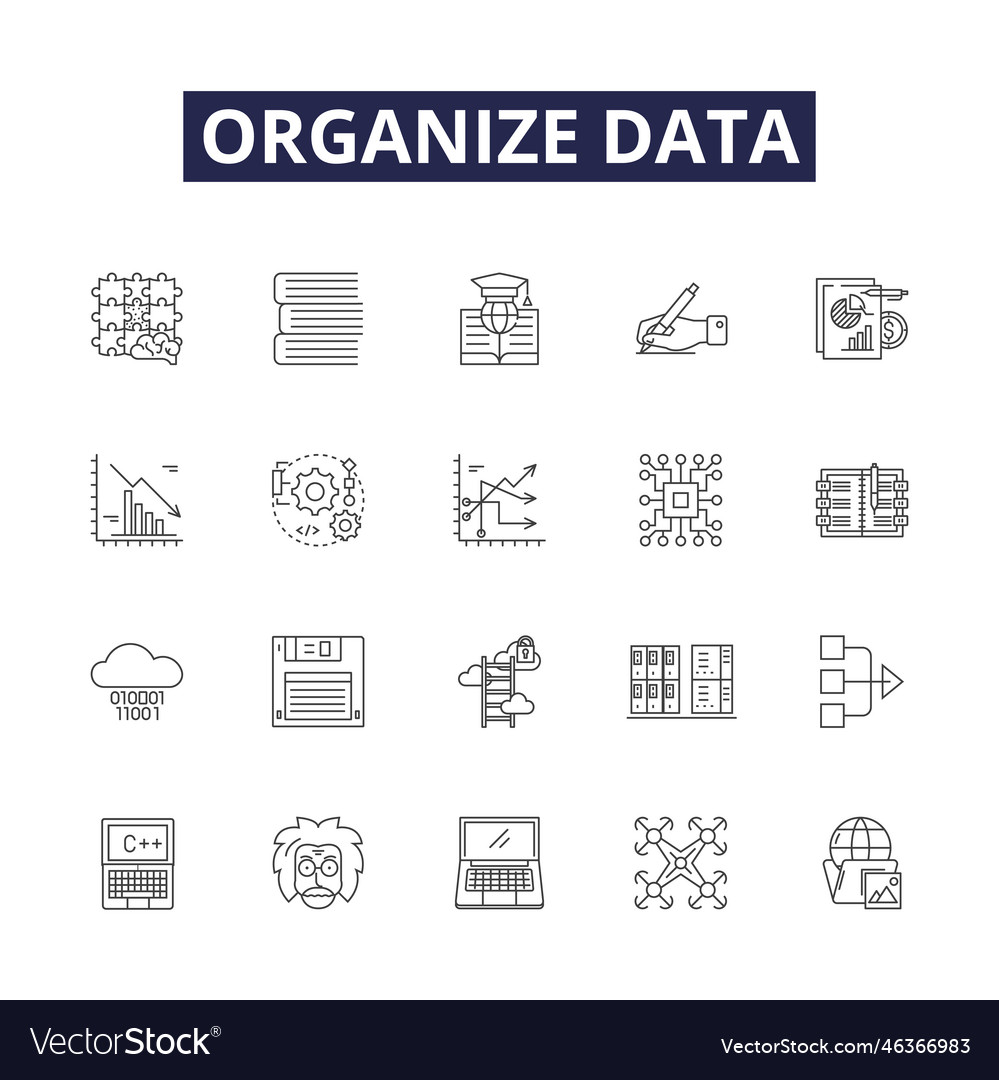 Organize data line icons and signs vector image Organize data line icons and signs