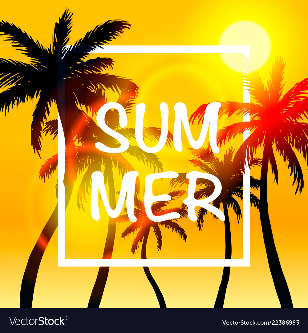 Palms summer cover frame banner