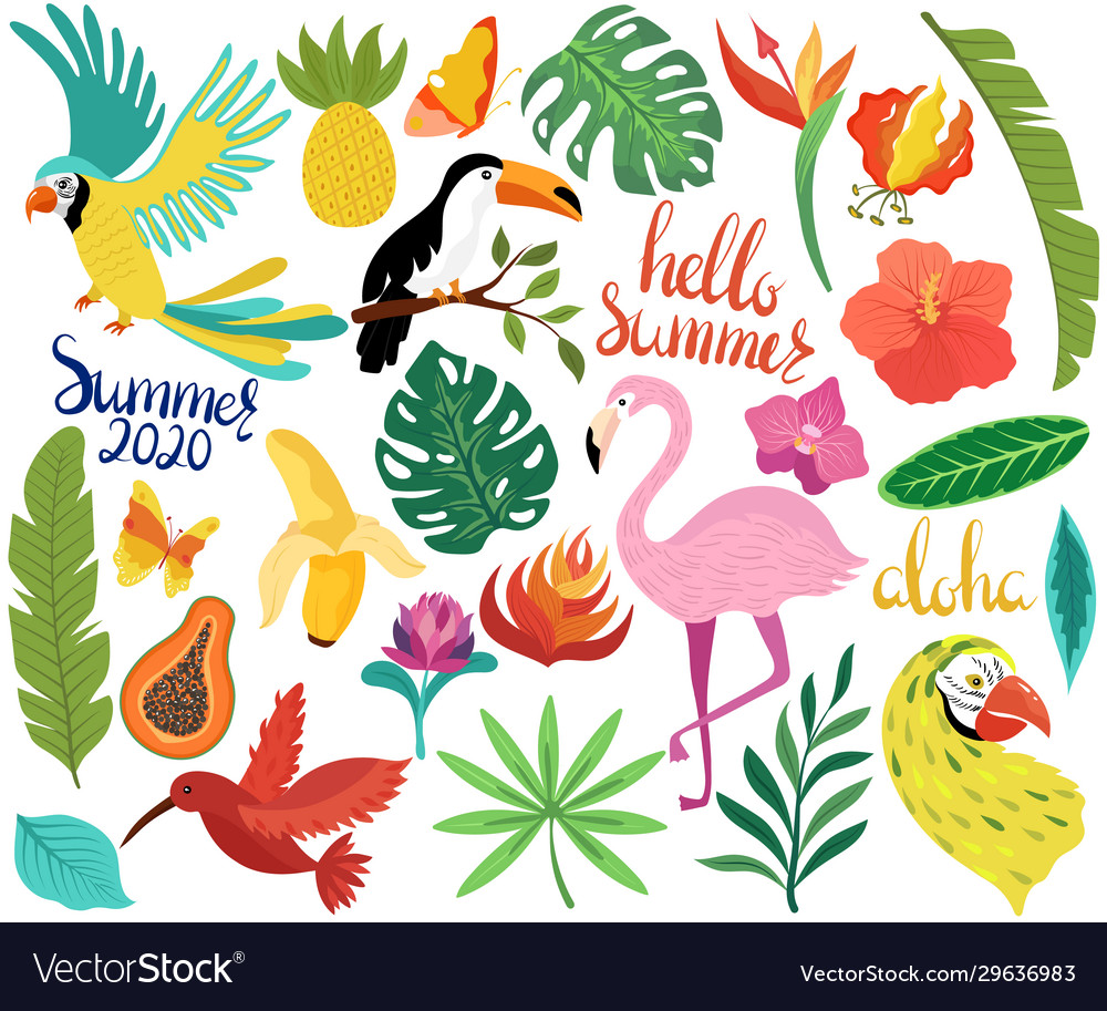 Tropical Birds & Flowers Summer Icons