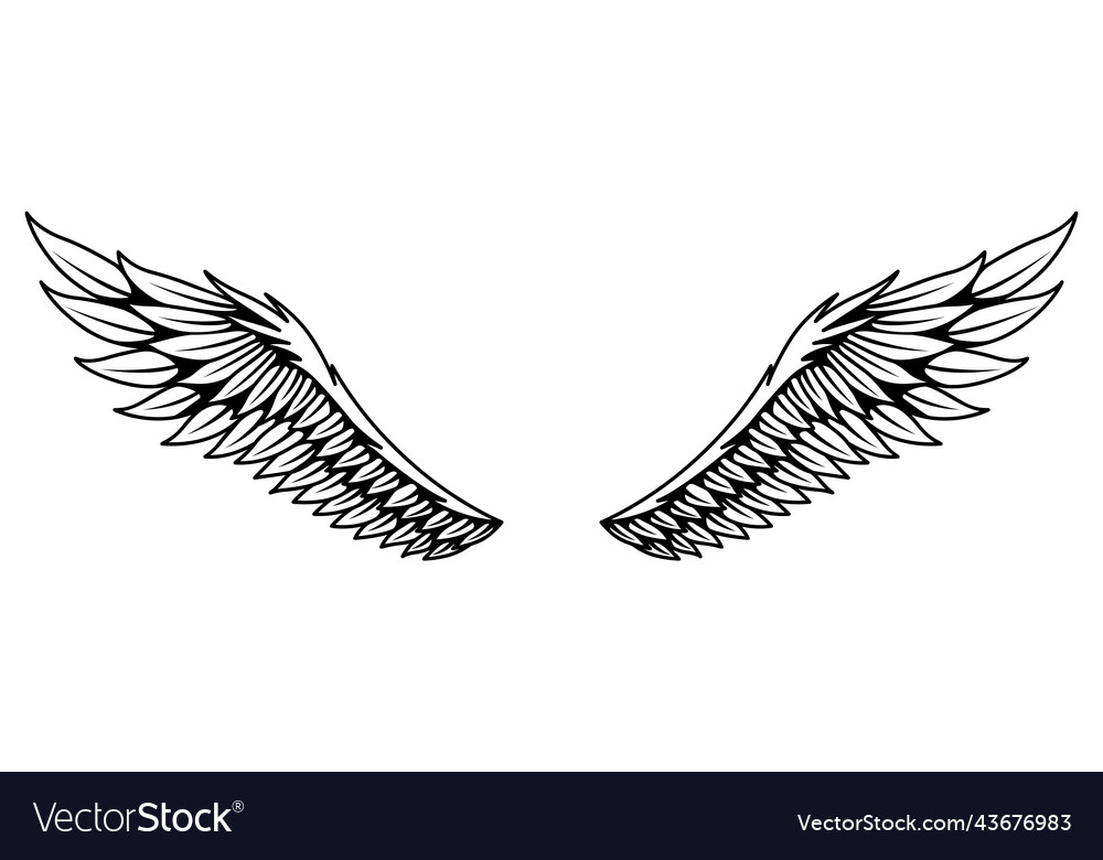 Vintage heraldic wings sketch monochrome stylized