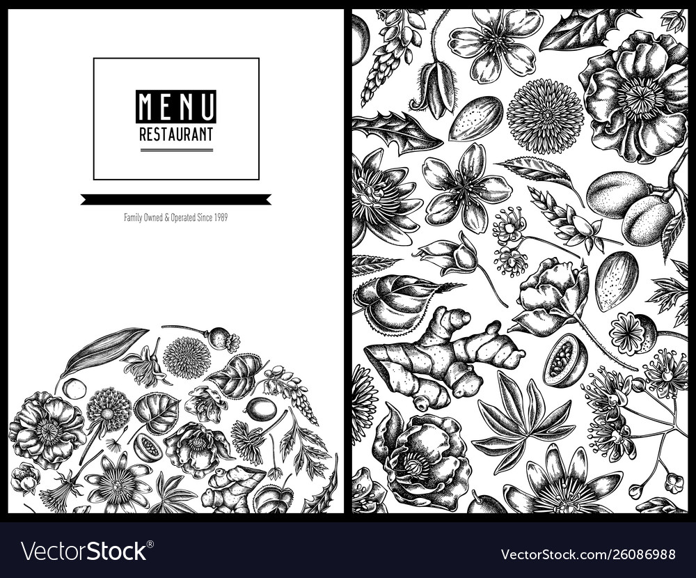 Menu cover floral design with black and white vector image Menu cover floral design with black and white