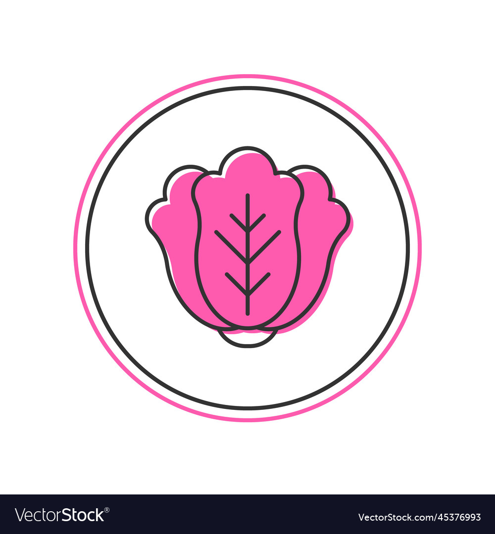 Filled Outline Fresh Cabbage Vegetable Icon Vector Image Filled Outline Fresh Cabbage Vegetable Icon Vector Image