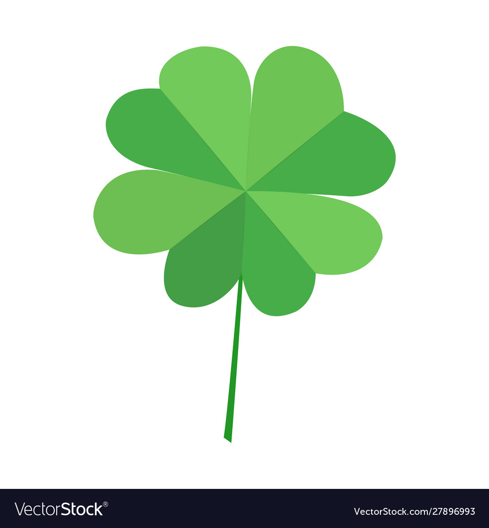 Green quatrefoil clover leaf isolated on white vector image Green quatrefoil clover leaf isolated on white