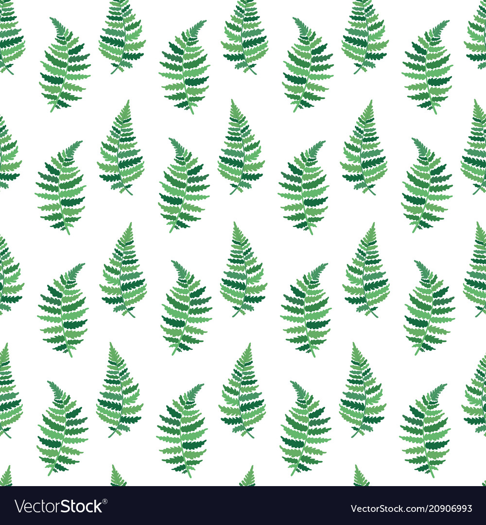 Pattern of fern leaf