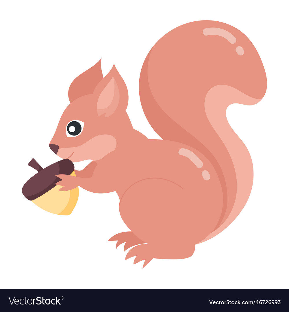 Squirrel