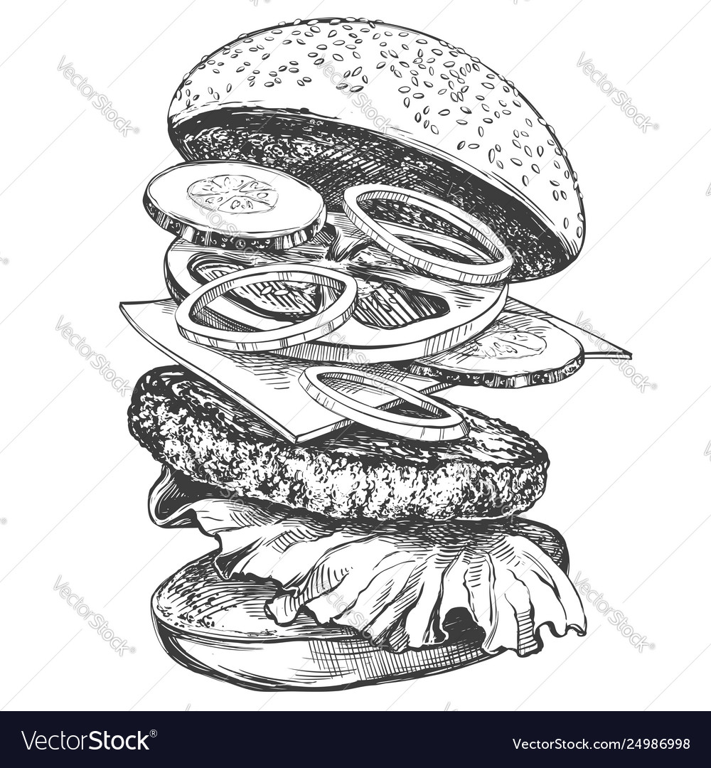 Big Burger Hamburger Hand Drawn Royalty Free Vector Image 2423