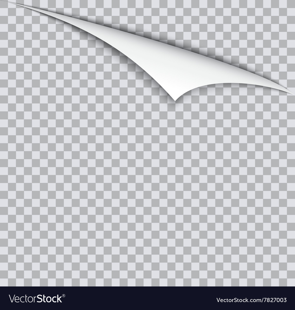 Page curl with shadow on blank sheet of paper