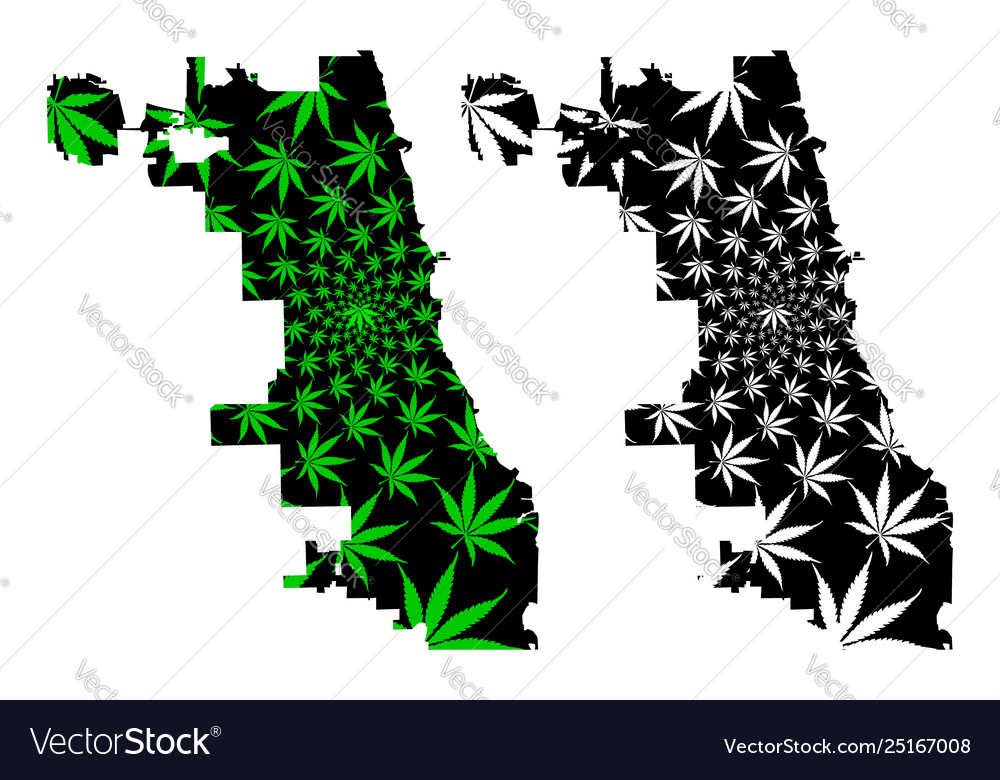 Chicago city - map is designed cannabis leaf